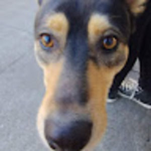 Meet your Posher, Aeon